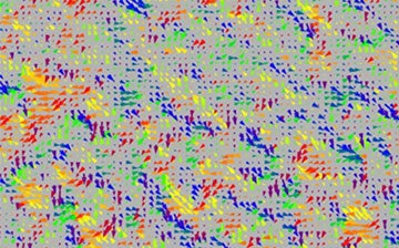 Vector field representing the spatial distribution of projected lattice tilt in the relaxor ferroelectric material